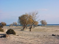 Elafonisi beach